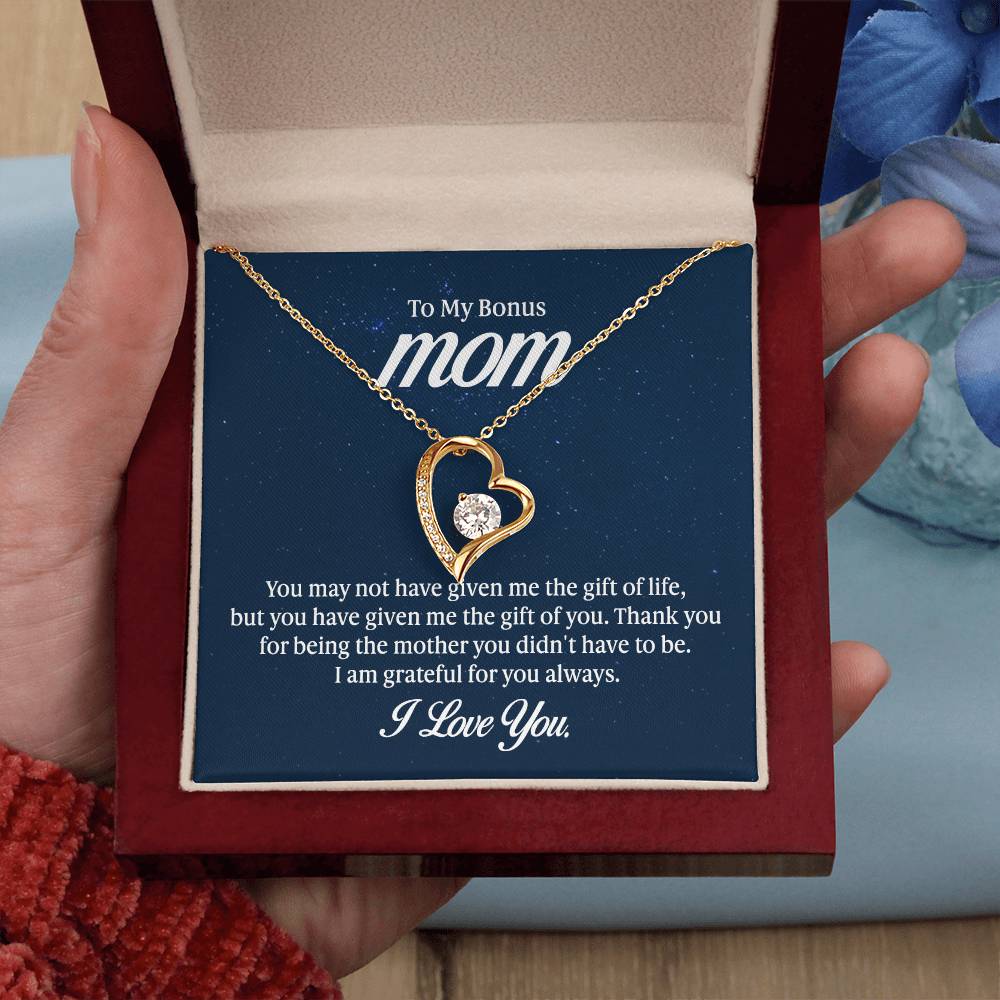 To my mom - you may not have given me the gift of life